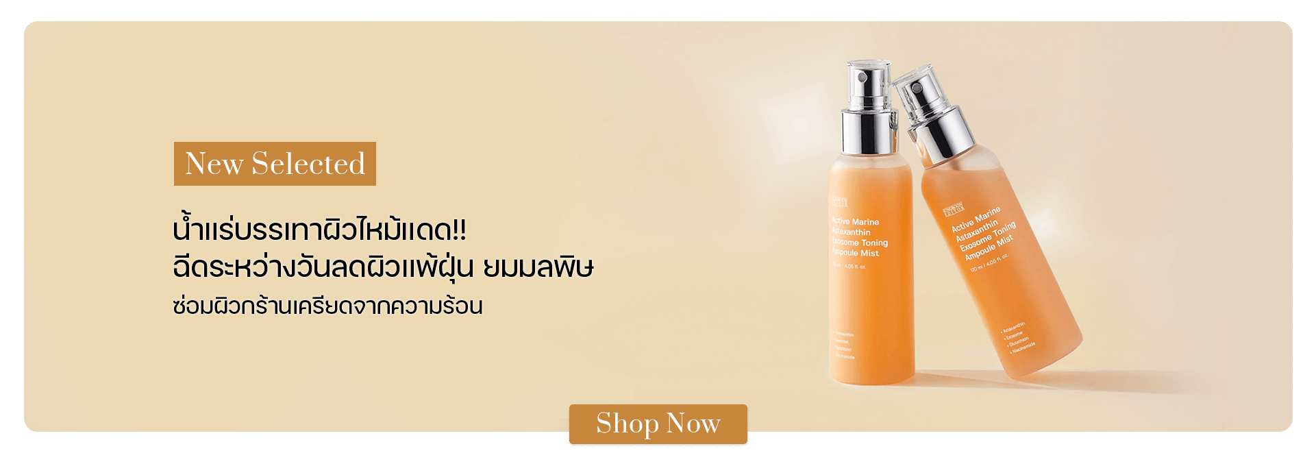 SUNGBOON EDITOR Active Marine Astaxanthin Exosome Ampoule Mist 120 ml