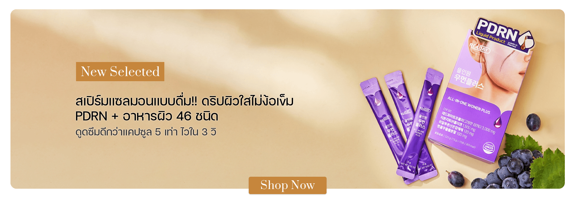 RE4DAY All-in-One Women Plus