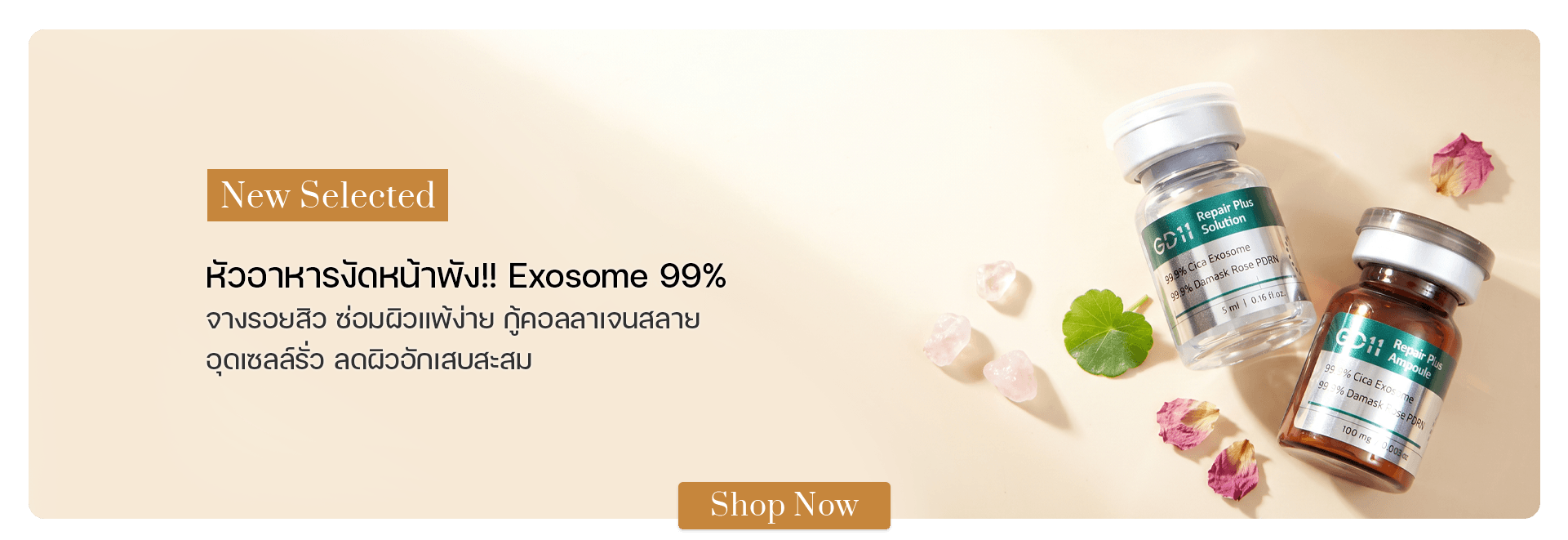 GD11 Repair Plus Ampoule Program